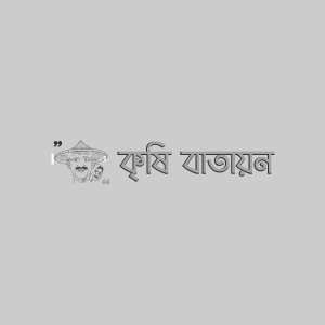 পেয়ারার স্কেল ইনসেক্ট বা খোসা পোকা